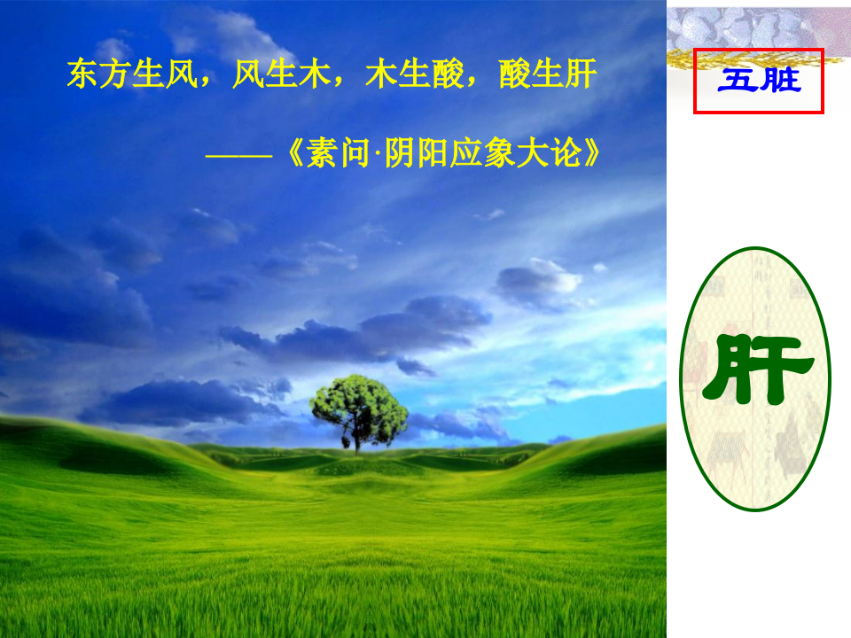 第三章__藏象__肝肾.ppt 第1页