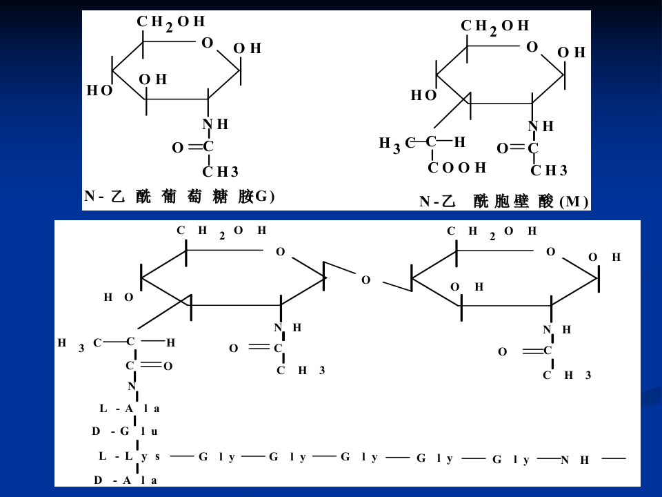 抗生素-3.ppt 第5页