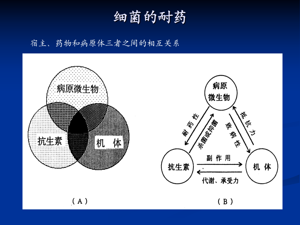 抗生素-4.ppt 第1页