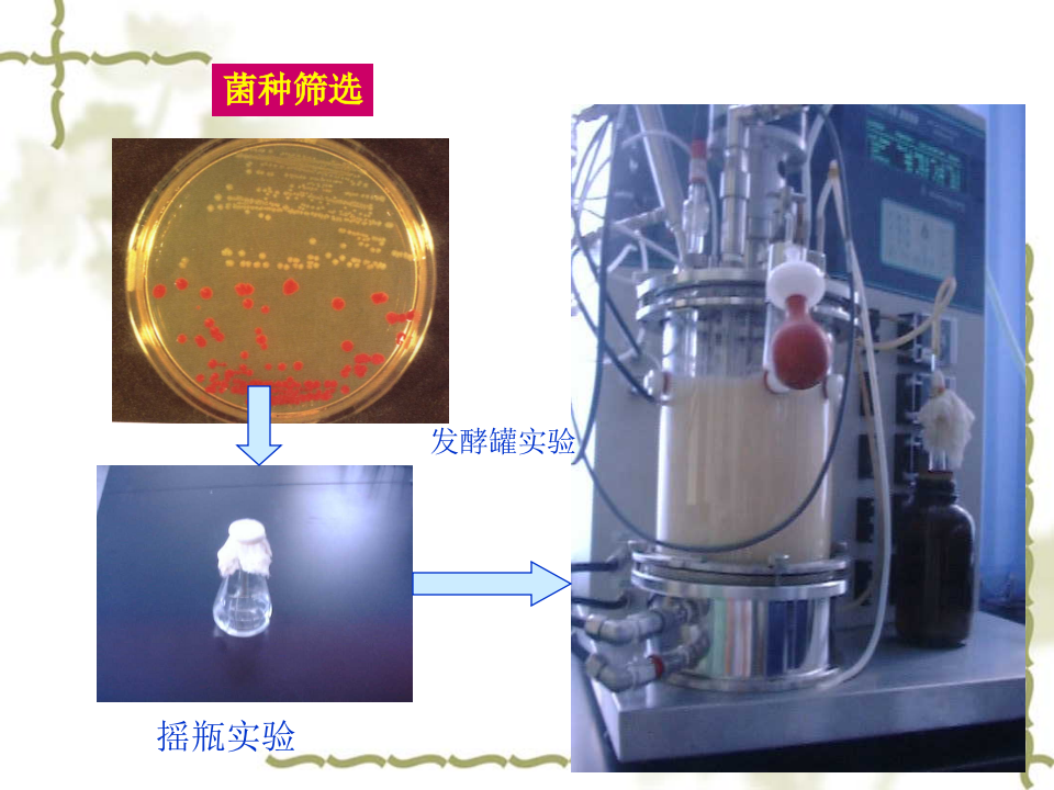 抗生素-5.ppt 第2页