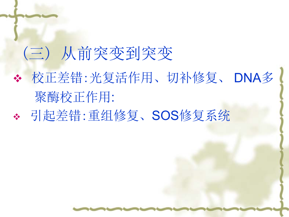 抗生素-6.ppt 第3页