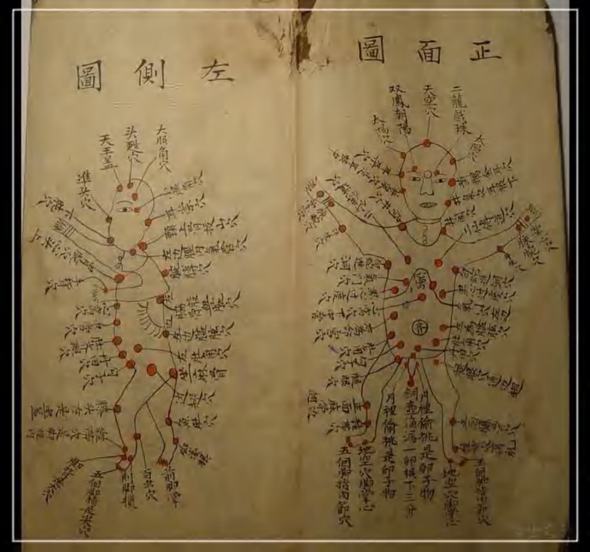 江西民间伤科跌打书手抄本.pdf 第3页