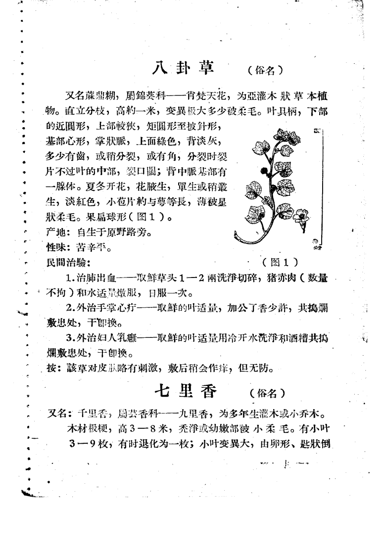 闽南民间革药 第二集.pdf 第4页