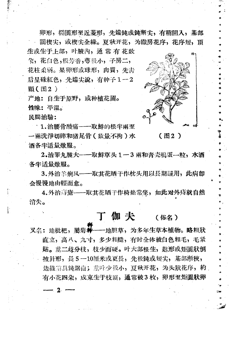 闽南民间革药 第二集.pdf 第5页