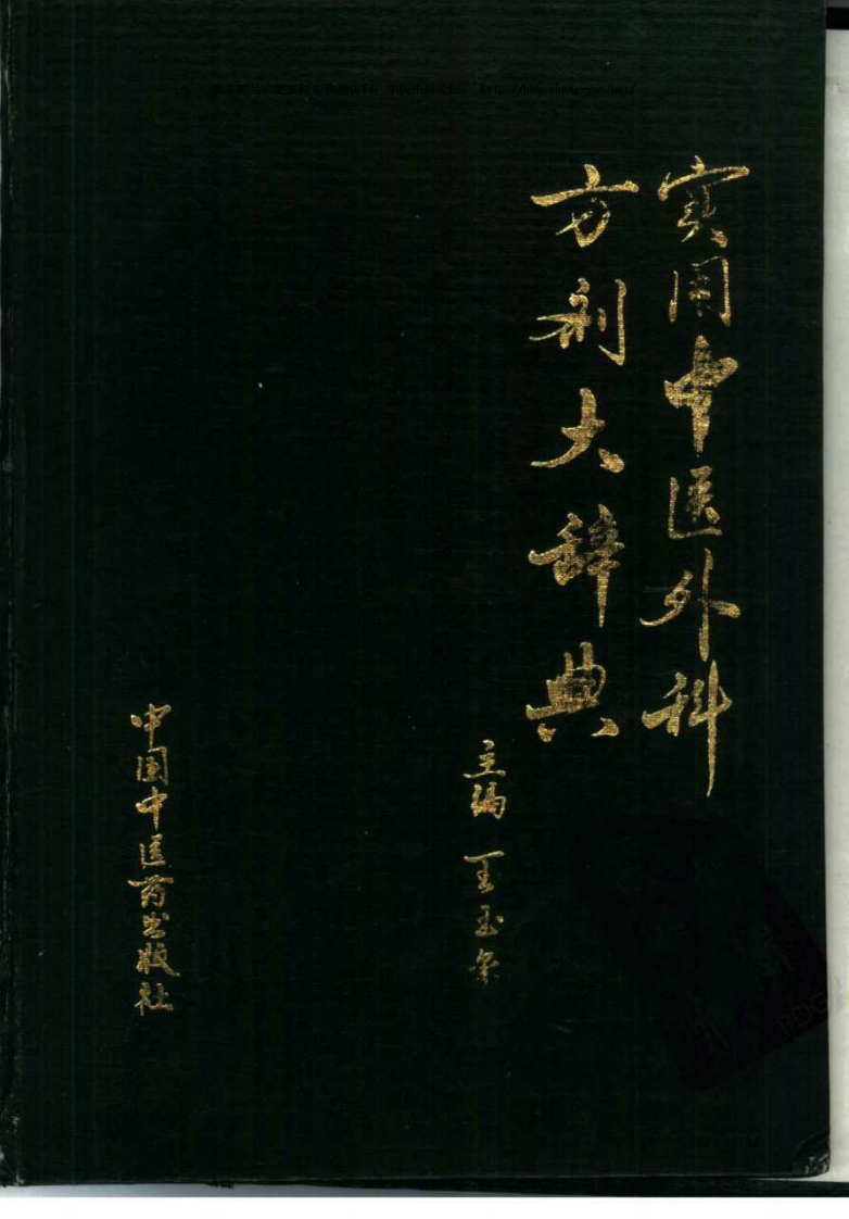 实用中医外科方剂大辞典（王玉玺  主编）.pdf 第1页