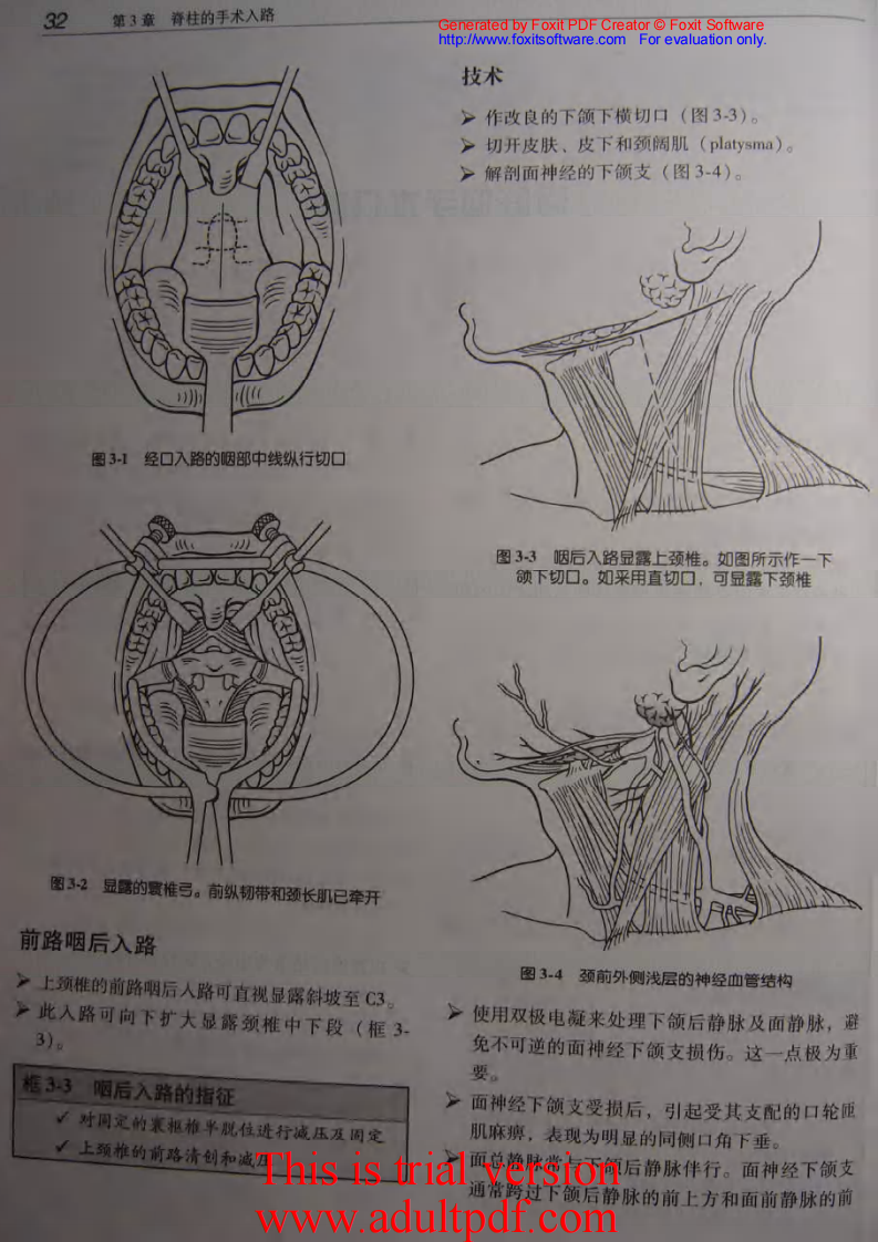 骨科核心知识—脊柱.pdf 第4页