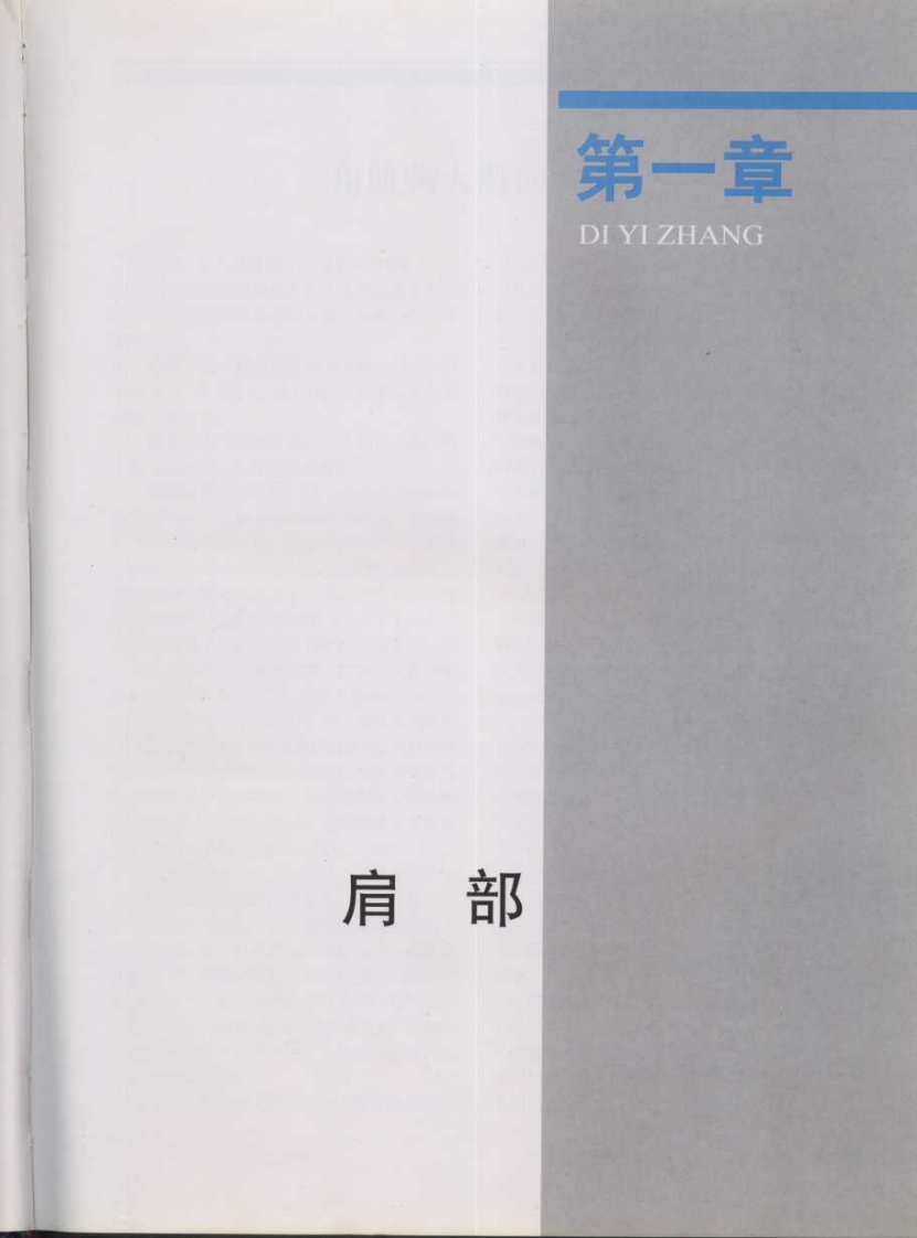 骨科手术入路图谱（中文高清彩图版）.pdf 第2页
