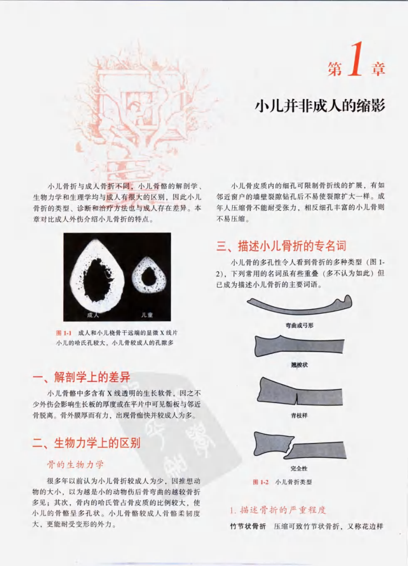 Rang小儿骨折.pdf 第4页