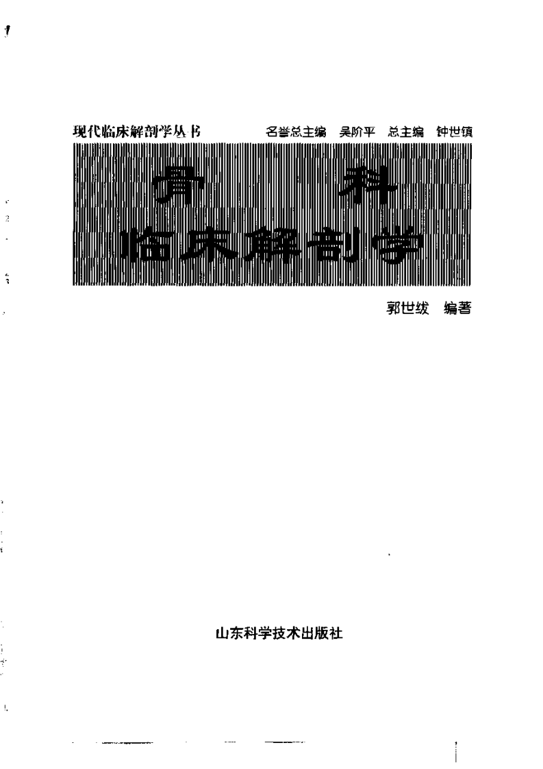 骨科临床解剖学.pdf 第2页