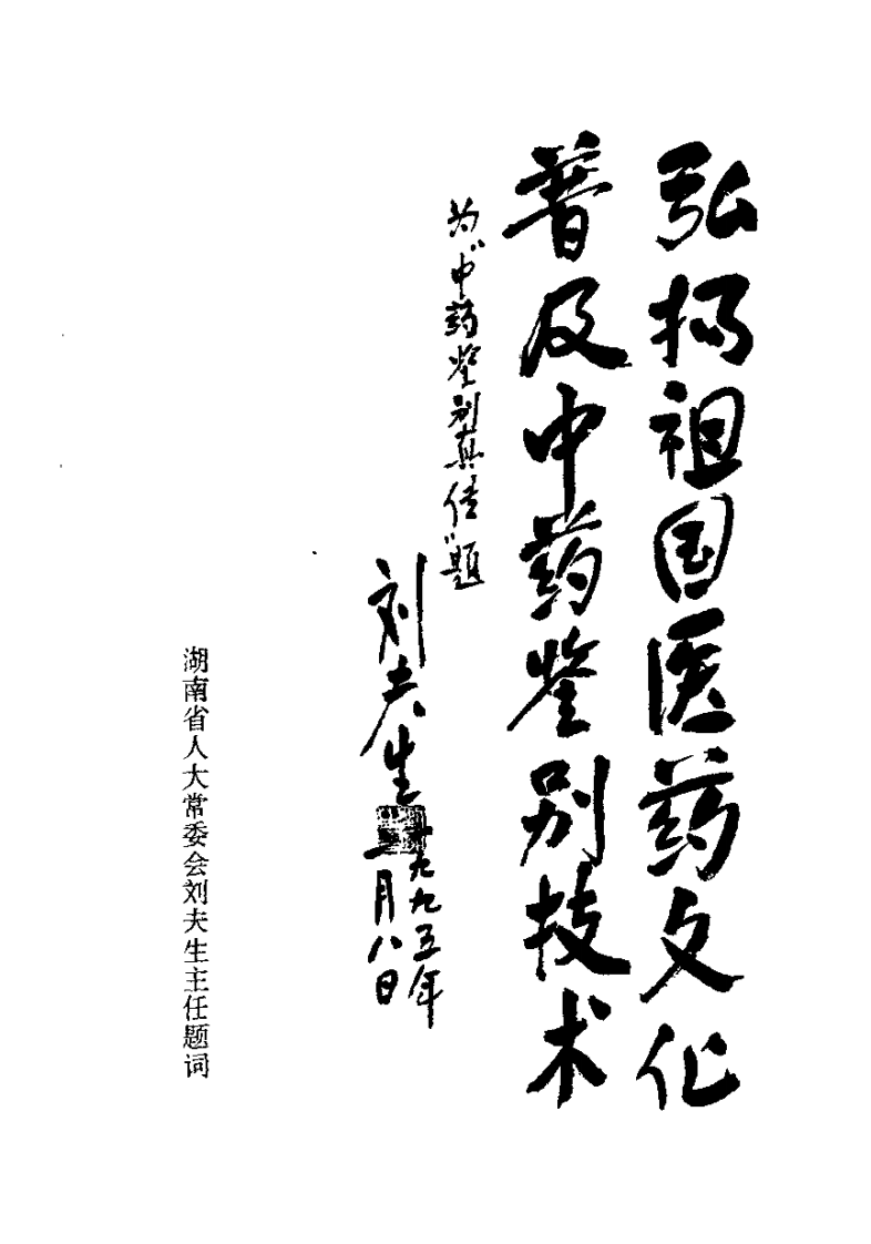 中药鉴别真传.pdf 第4页