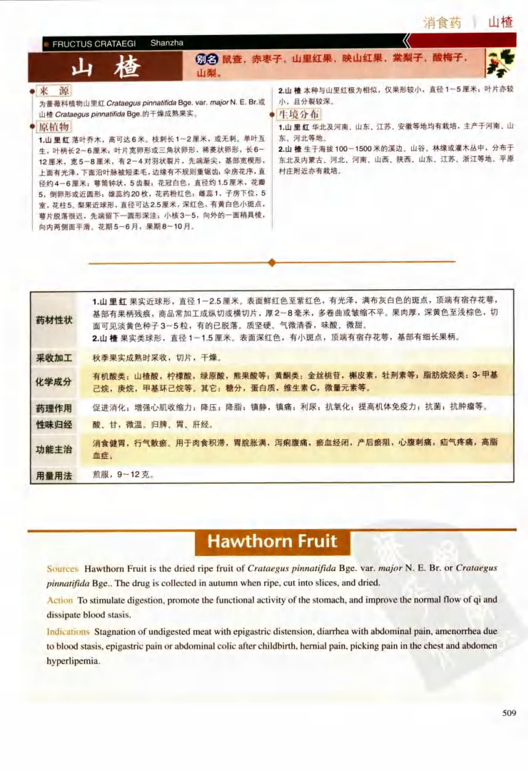 实用本草纲目彩色图鉴（第三卷）.pdf 第5页