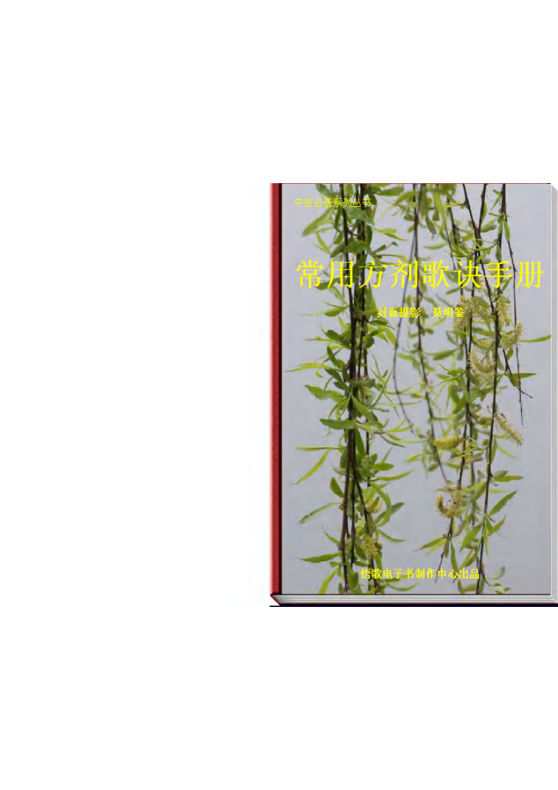 常用方剂歌诀手册.pdf 第1页