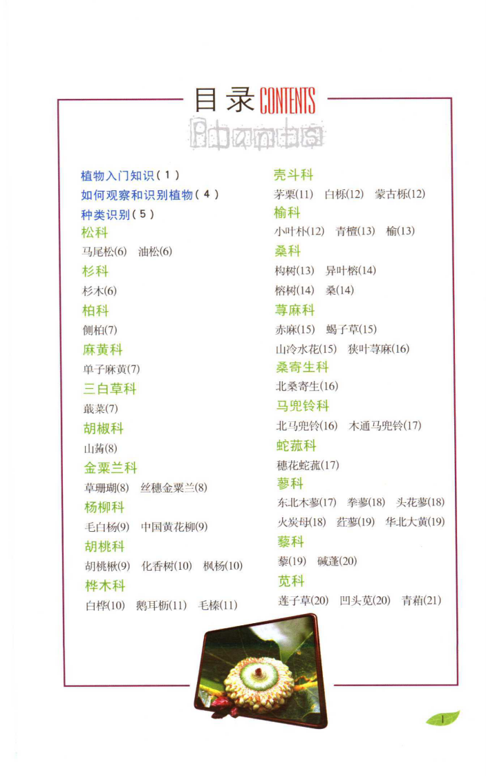 全彩图本好奇心书系 常见植物野外识别手册.pdf 第3页