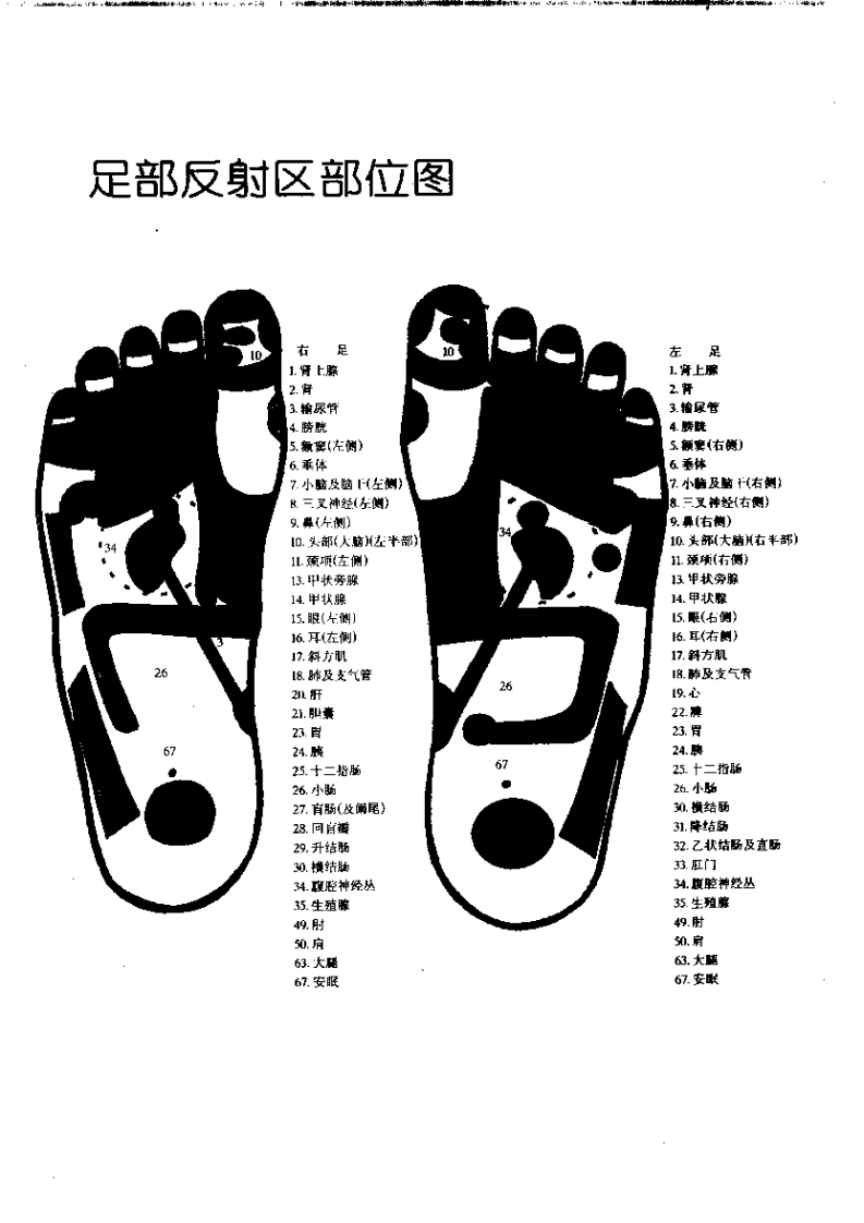 手足按摩保健图解（山东科学技术出版社1999）.pdf 第5页