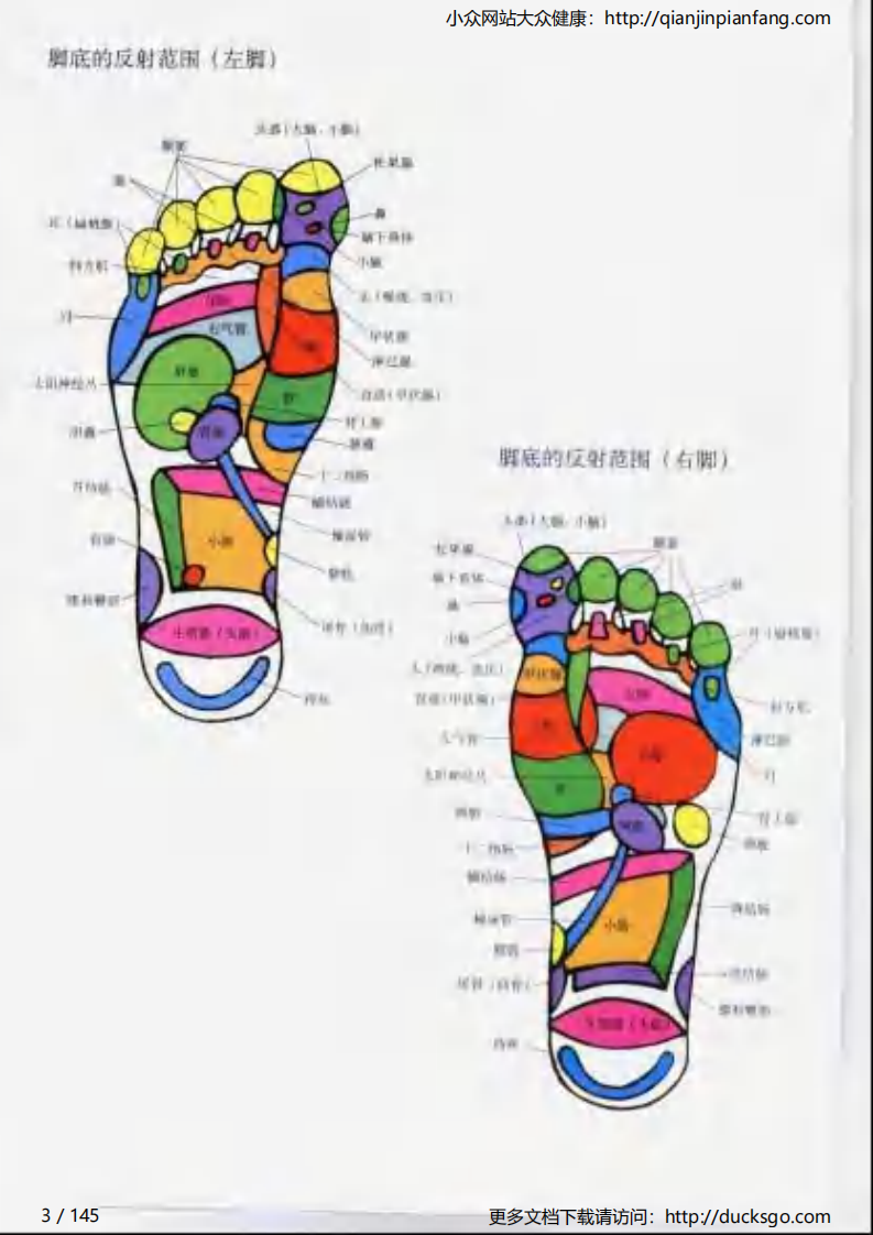 家庭按摩大全－图解脚穴健康疗法.pdf 第3页