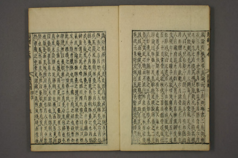 类经-明-张景岳-日本日稻田大学收藏版_0015.pdf 第4页