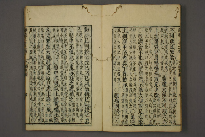 类经-明-张景岳-日本日稻田大学收藏版_0020.pdf 第5页