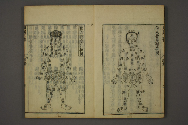 类经-明-张景岳-日本日稻田大学收藏版_0033.pdf 第4页