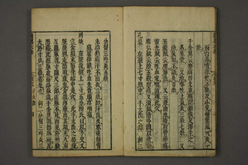 类经-明-张景岳-日本日稻田大学收藏版_0035.pdf 第5页