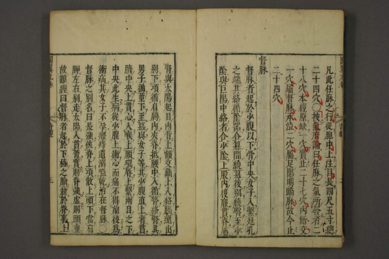 类经-明-张景岳-日本日稻田大学收藏版_0038.pdf 第4页