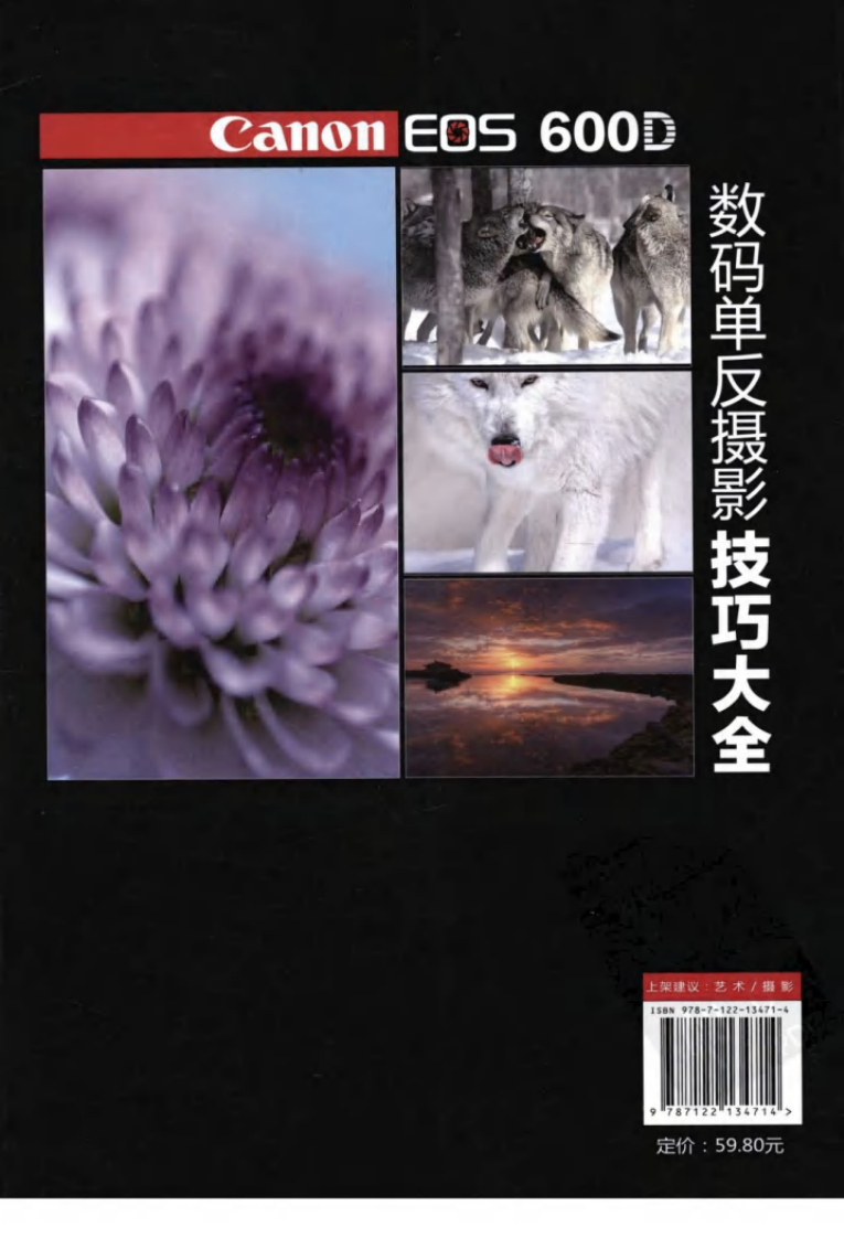 Canon EOS 600D数码单反摄影技巧大全.pdf 第2页