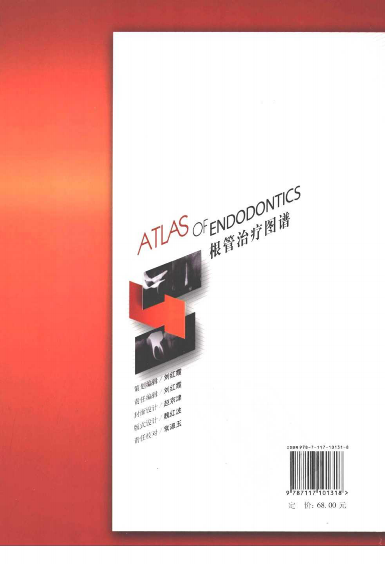 根管治疗图谱彭彬.pdf 第2页