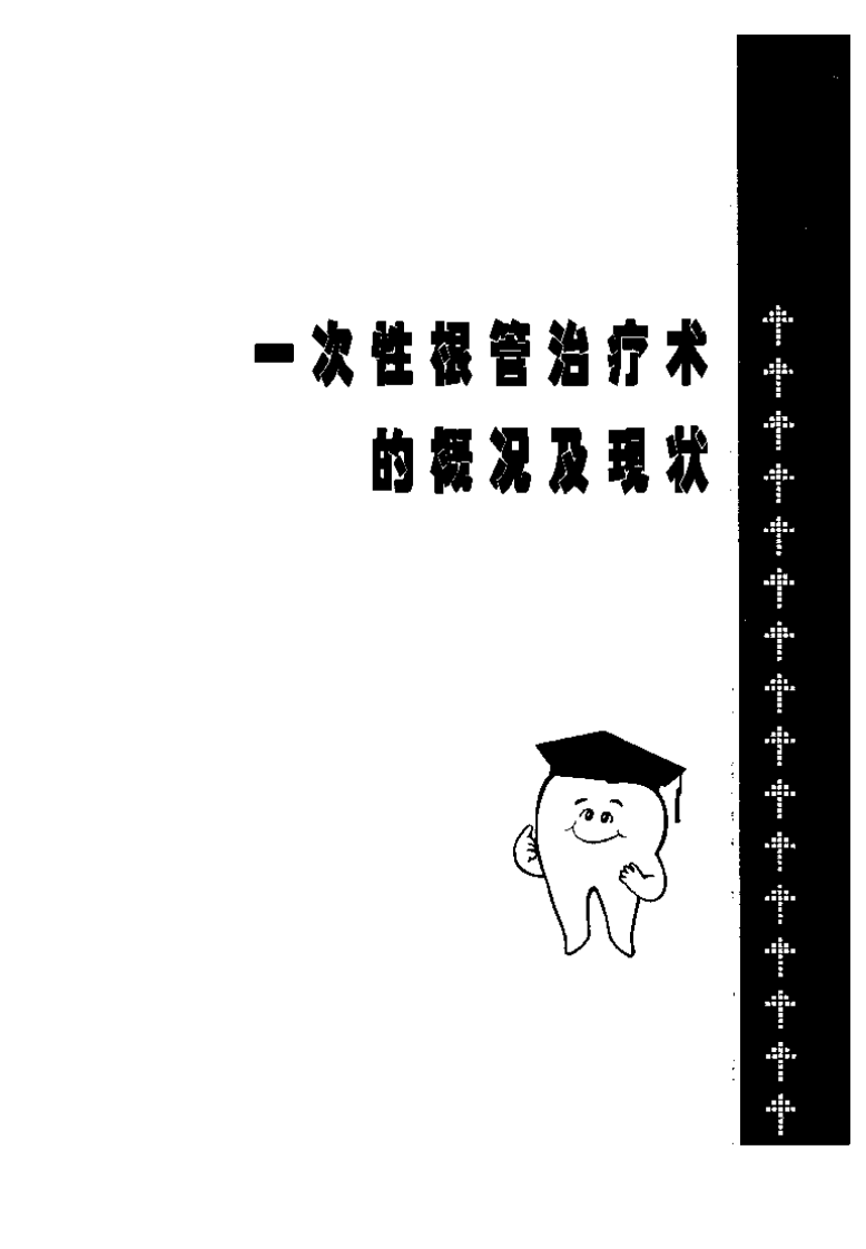 一次性根管治疗学.pdf 第1页
