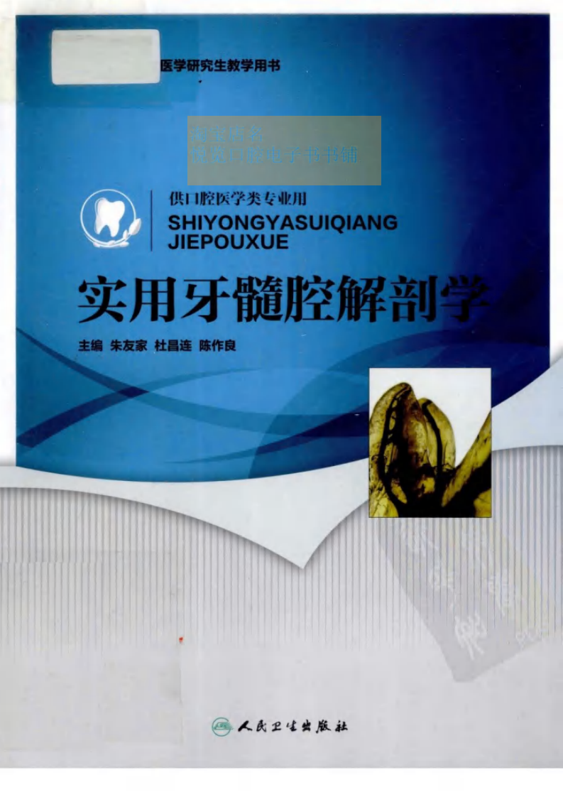 实用牙髓腔解剖学.pdf 第1页