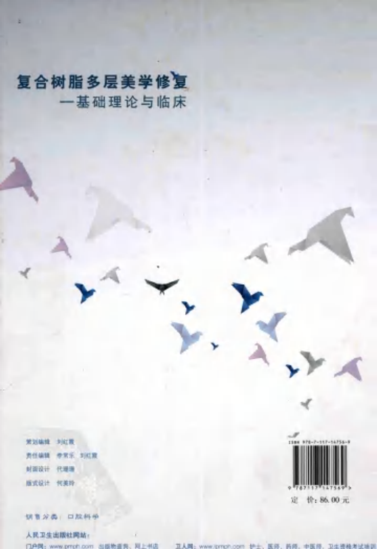 复合树脂多层美学修复  基础理论与临床.pdf 第2页