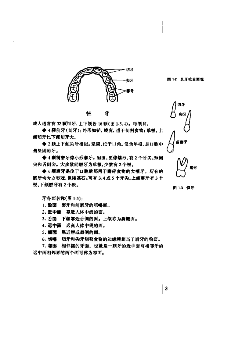 非创伤性修复治疗手册—控制龋的途径.pdf 第4页
