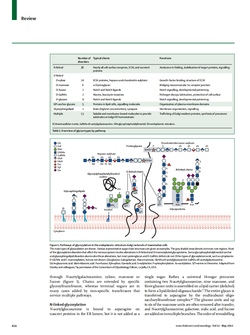 [柳叶刀].The.Lancet.Neurology.2012.May.pdf 第3页