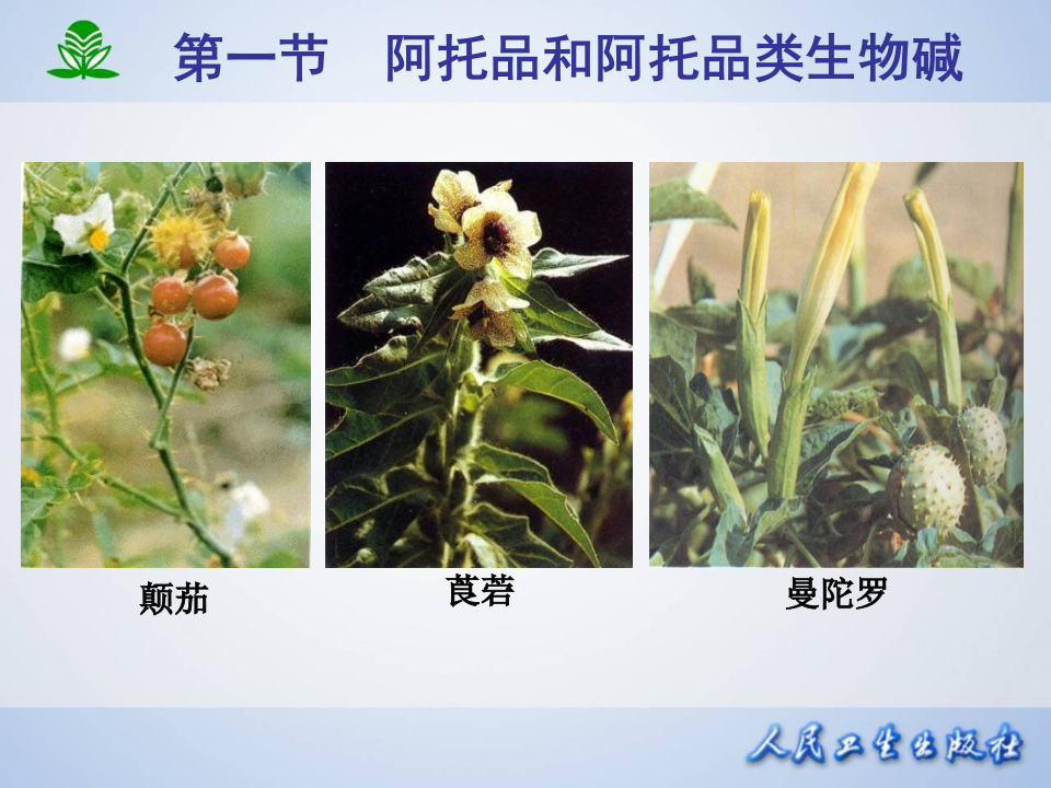 第 八 章  胆碱受体阻断药（I）-M胆碱受体阻断药.ppt 第5页