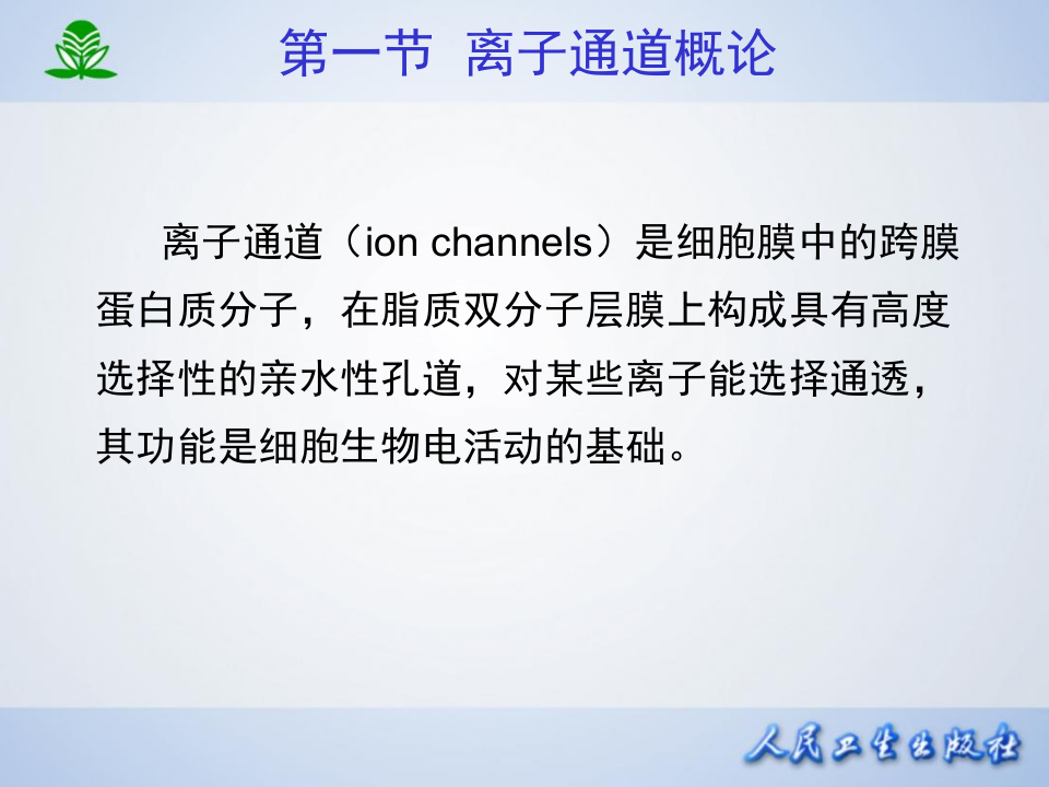 第二十一章  离子通道概论及钙通道阻滞药.ppt 第5页