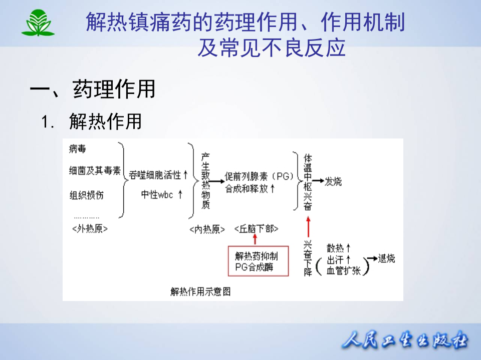 第二十章  解热镇痛抗炎药.ppt 第4页