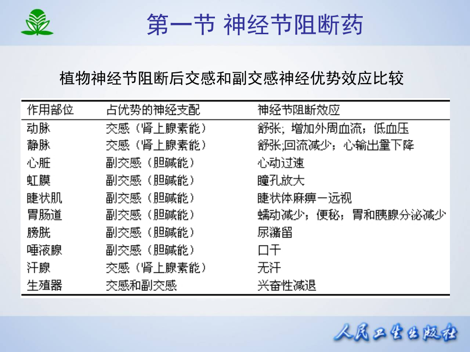 第九章 胆碱受体阻断药（Ⅱ）-N胆碱受体阻断药.ppt 第5页