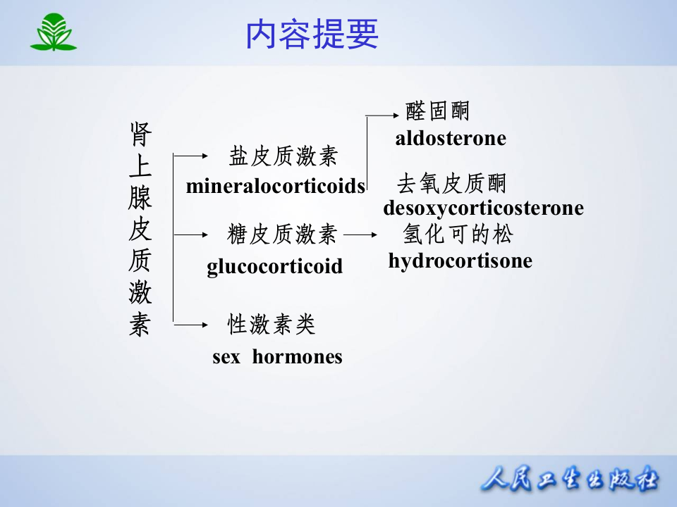 第三十五章  肾上腺皮质激素类药物.ppt 第2页