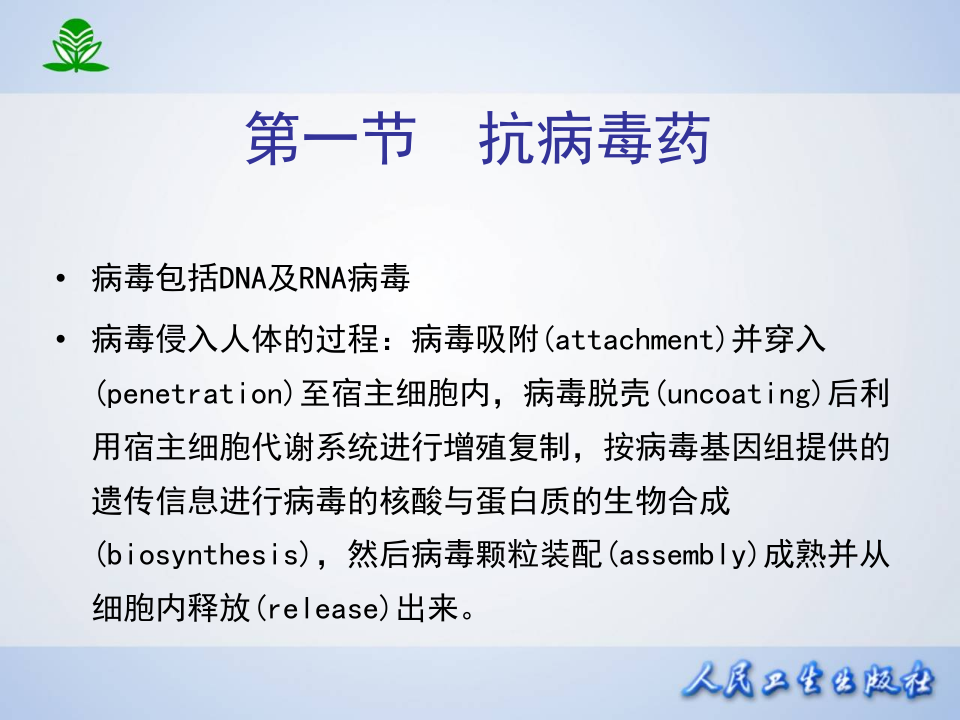 第四十四章  抗病毒药和抗真菌药.ppt 第4页
