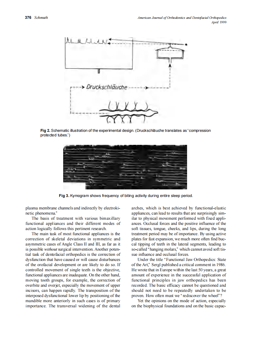 1999_115_4_373_381_Schmuth.pdf 第4页