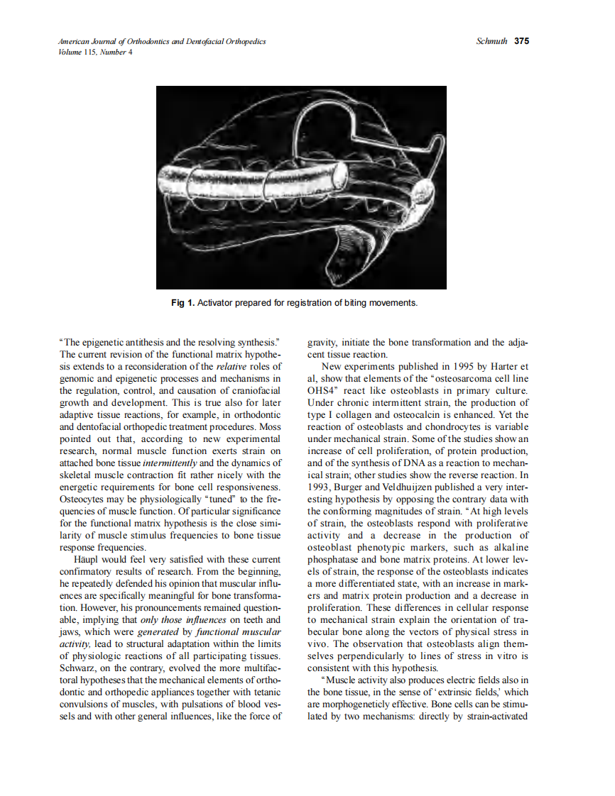 1999_115_4_373_381_Schmuth.pdf 第3页