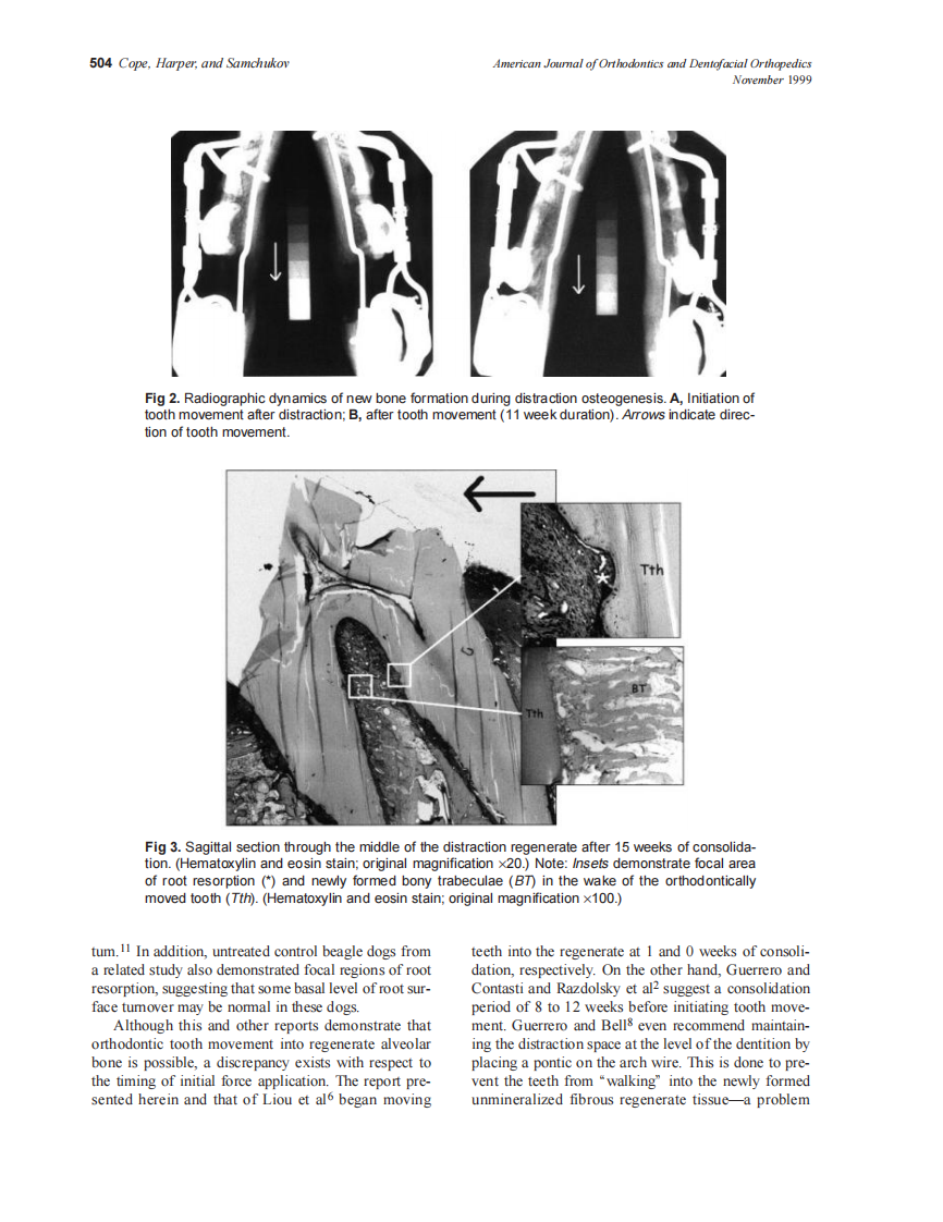 1999_sdarticle_3.pdf 第4页