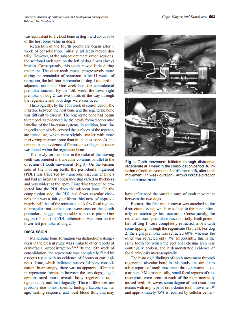 1999_sdarticle_3.pdf 第3页