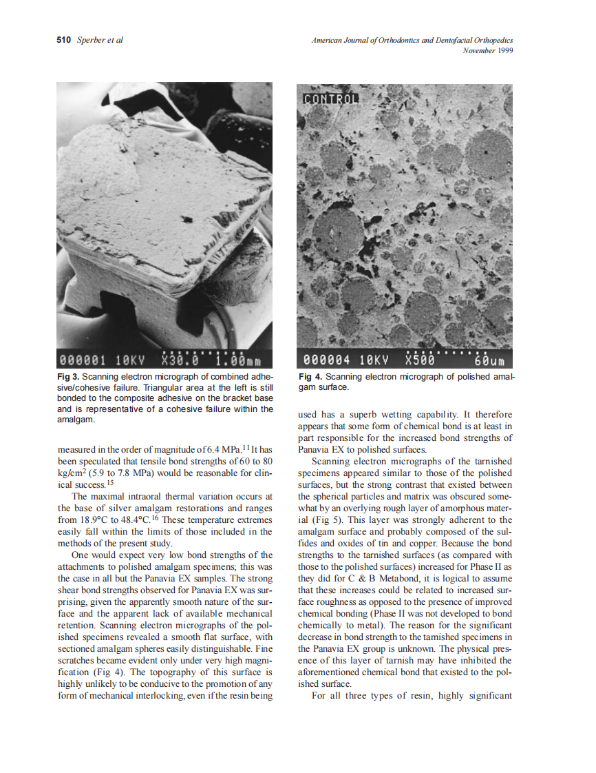 1999_sdarticle_4.pdf 第5页