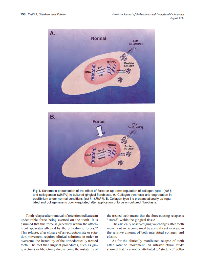 Redlich_1999_116_2_by_OrTHoTaMiNe.pdf 第5页