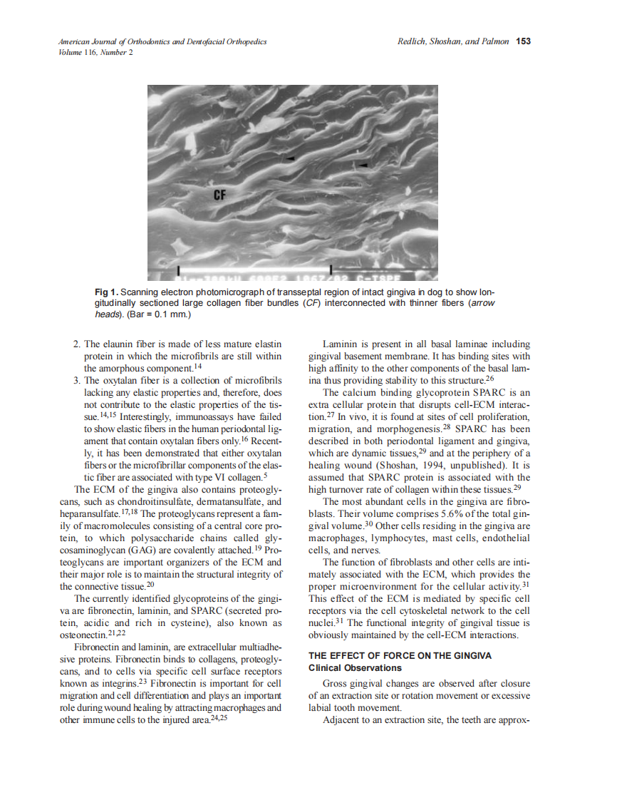 Redlich_1999_116_2_by_OrTHoTaMiNe.pdf 第2页