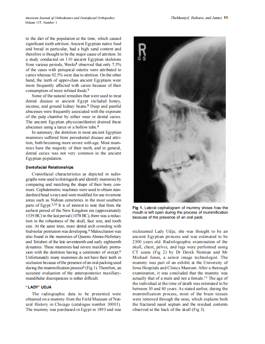 2000_117_1_10_14_Thekkaniyil.pdf 第2页