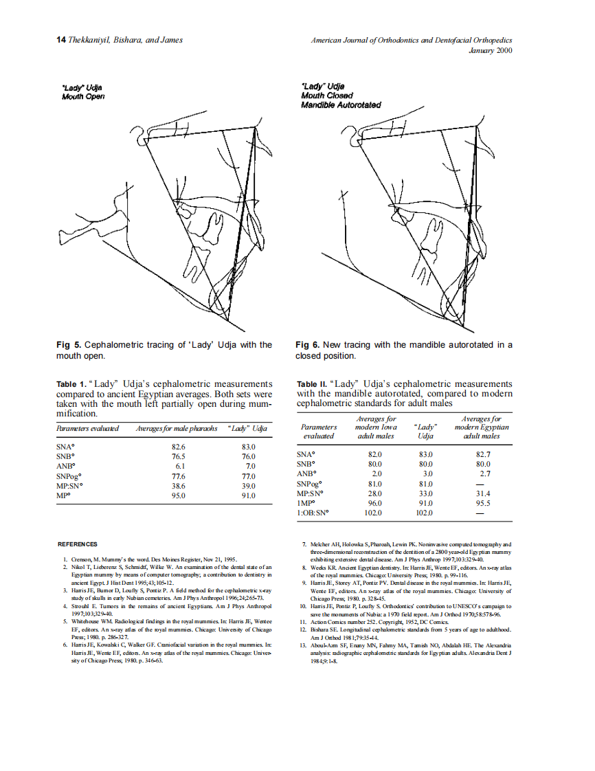 2000_117_1_10_14_Thekkaniyil.pdf 第5页