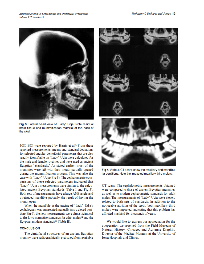 2000_117_1_10_14_Thekkaniyil.pdf 第4页