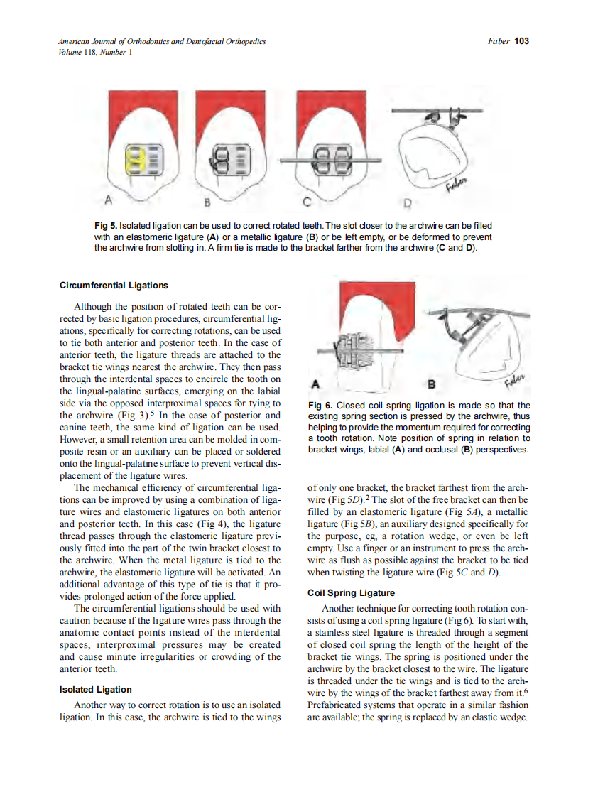 2000_118_1_101_106_Faber.pdf 第3页