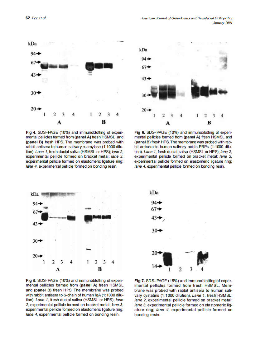 2001_119_1_59_66_Lee.pdf 第4页