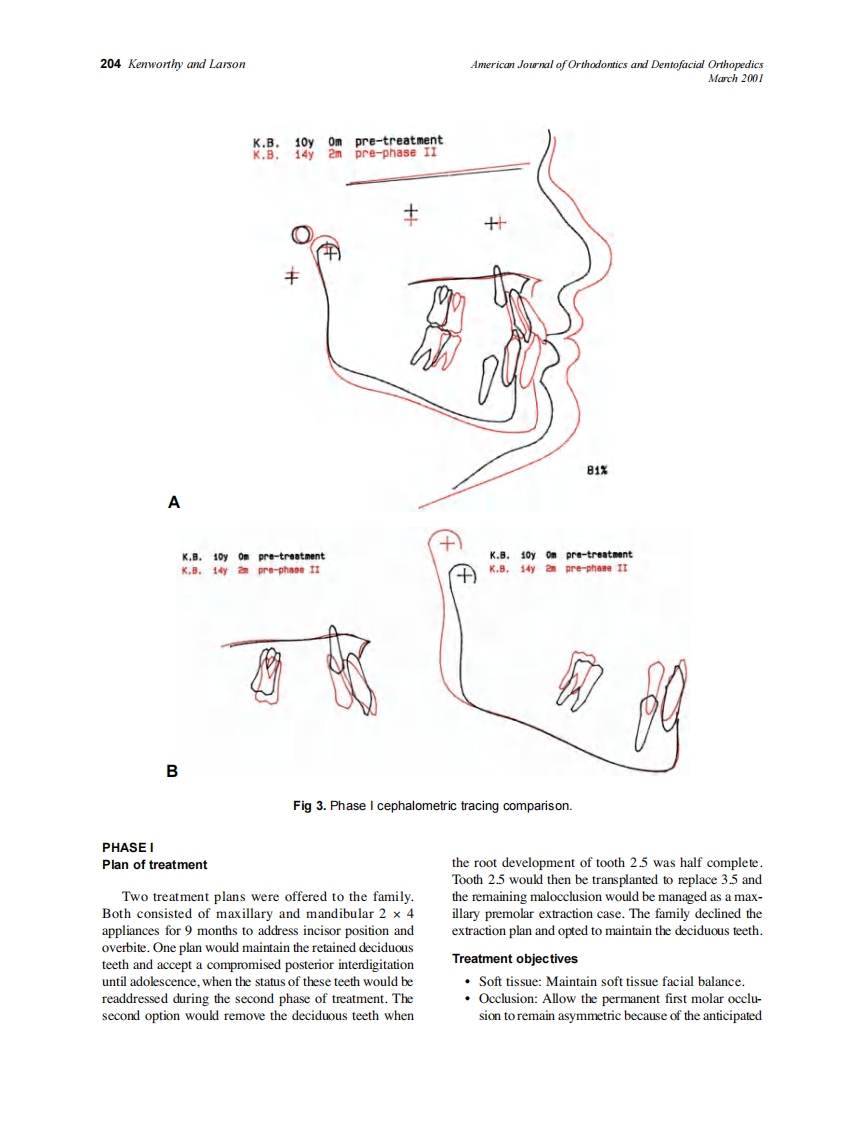 2001_119_3_202_210_Kenworthy.pdf 第3页